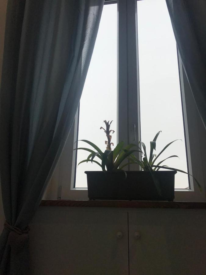 Rosa Verde 카셀토리네세 외부 사진